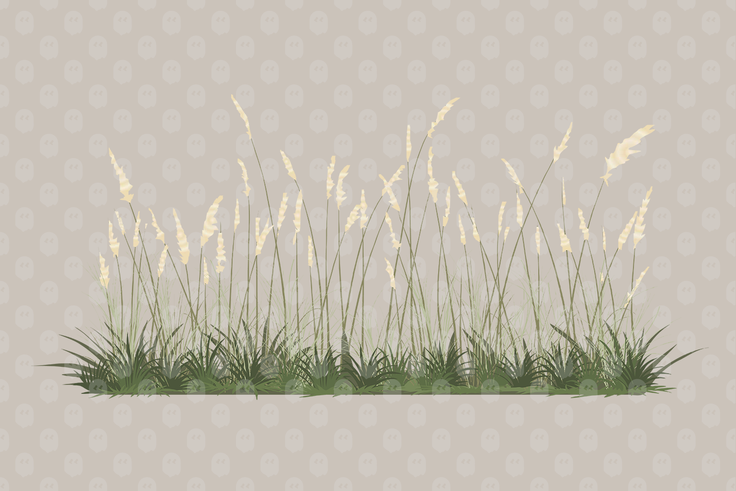Archade Pampas Grass Plant Vector Drawings