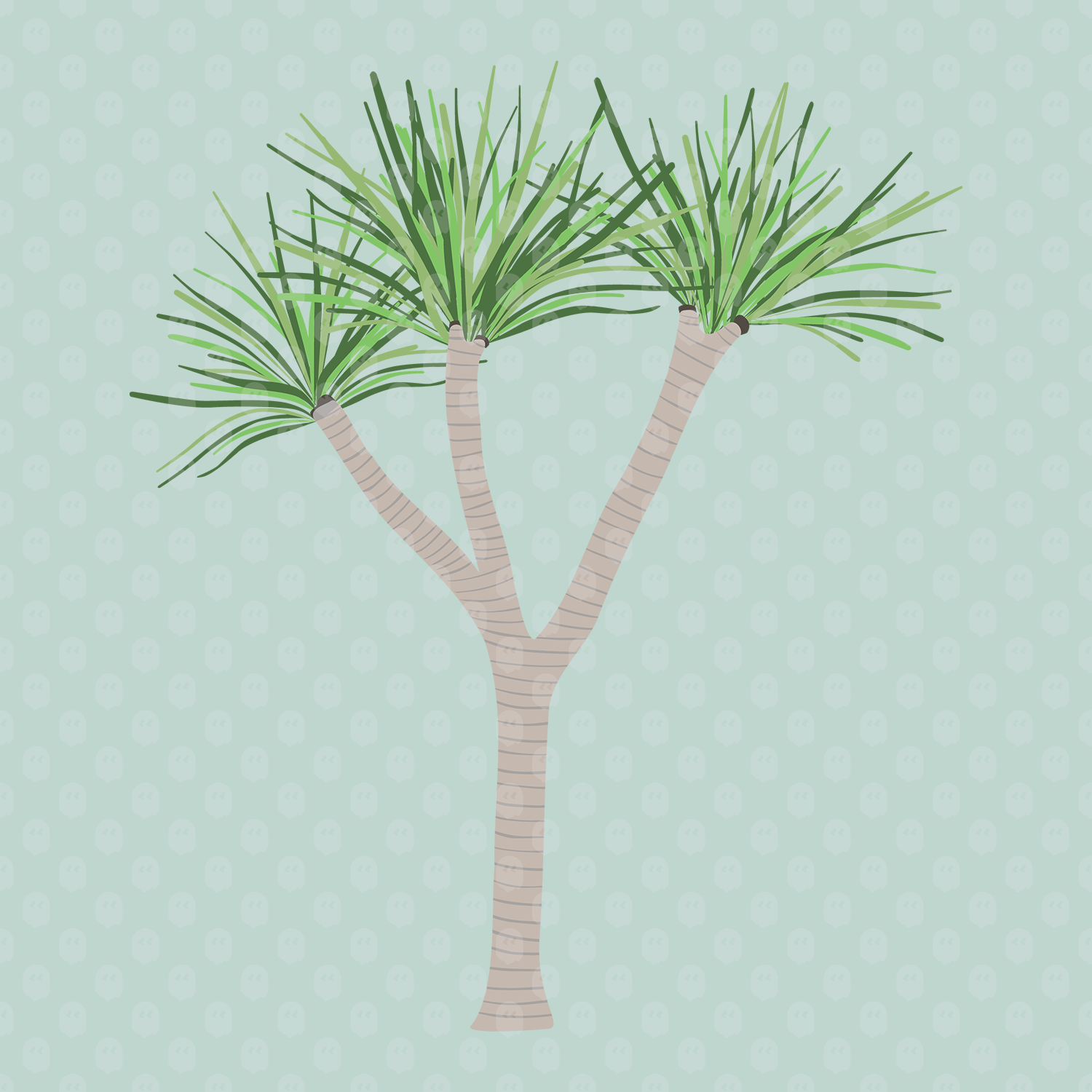 Archade Tropical Dragon Tree Vector Drawings