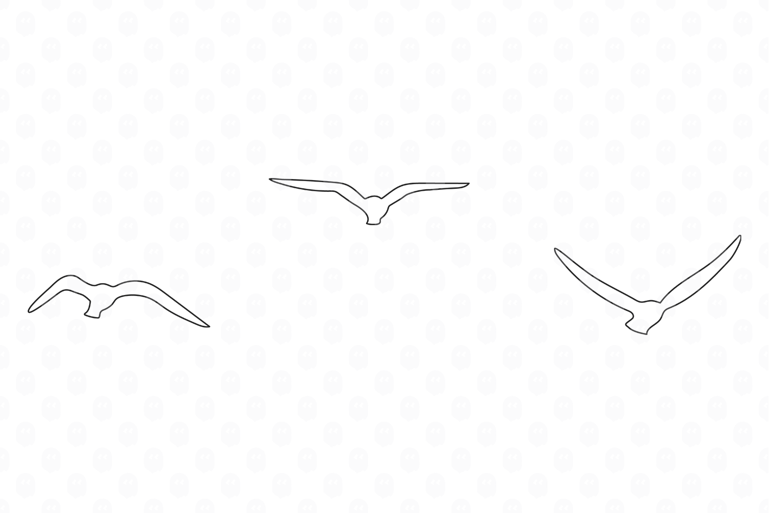 Archade | Five Flying Birds Line Drawings Vector Drawings