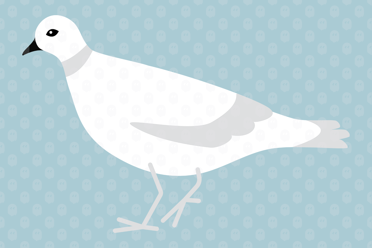Archade White Pigeon Vector Drawings