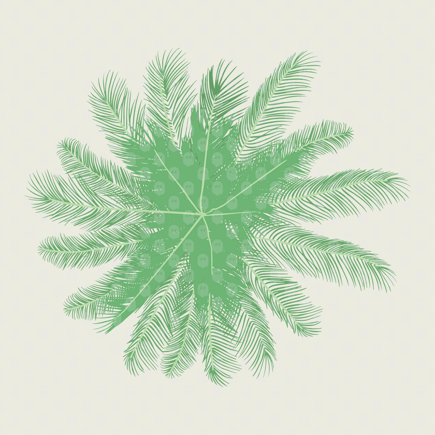 Archade Palm Tree Top View Vector Drawings